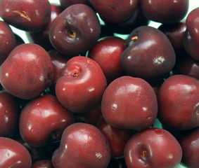 Red fruits cherry cherries at summer