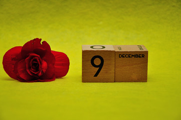 9 December on wooden blocks with a red flower on a yellow background