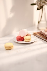 Hortensia bouquet with French macarons in sunlight. Female and lifestyle business and work from home concept.