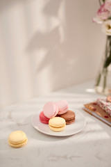 Hortensia bouquet with French macarons in sunlight. Female and lifestyle business and work from home concept.