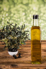 Olive tree and bottles with oil, olives on a wood table.