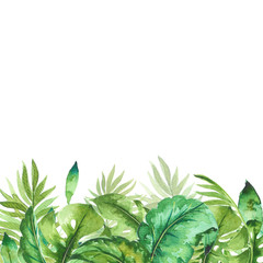background with green leaves watercolor, hand painted, isolated