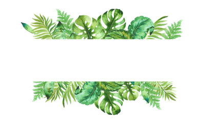 watercolor template of tropical leaves, isolated on white background, hand painted © Виктория Дербаба