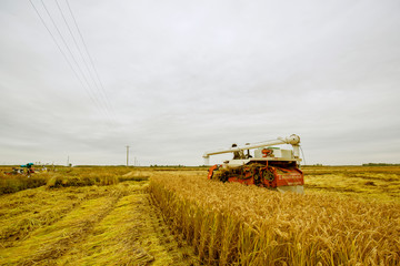 Luannan County, Hebei Province - October 20, 2016. In the cloudy background, harvesters harvested...