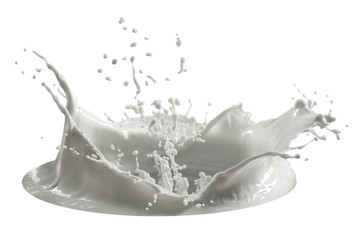 milk splash isolated on white background