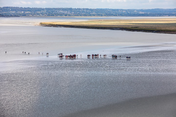 Group of hikers in the bay at low tide. Hike in the bay with a knowledgeable guide. Mont Saint-Michel , Normandy, France