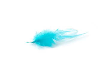 Obraz premium blue feather on white background