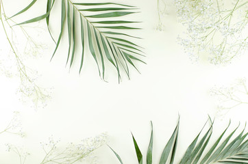 Frame of palm and gypsophila branches on a yellow background.