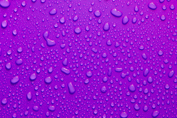 water drop texture close-up on purple matte background.