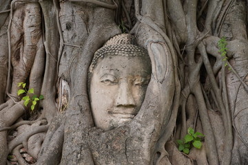 Fototapeta na wymiar statue of buddha in ayutthaya thailand