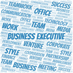 Fototapeta premium Business Executive word cloud. Collage made with text only.