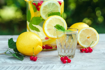 Homemade lemonade with fresh lemons, mint and cranberries. A can of lemonade against a background of green foliage, beautiful bokeh. The concept of fresh lemonade, cold juice, heat