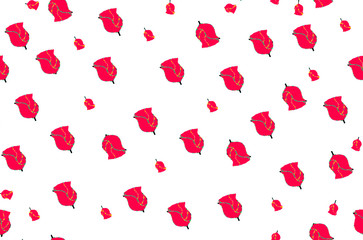 Simple red roses seamless pattern on white background for bedclothes, fabric, fashion.