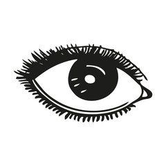 Vector illustration of eye on white background