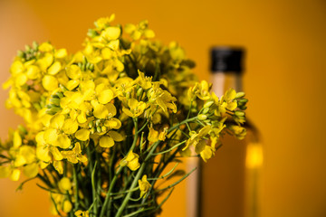 Rapeseed flowers and rapeseed oil in a bottle on the table