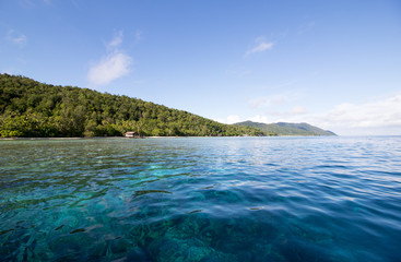 Fototapeta premium transparent water and amazing reef in raja ampat archipelago