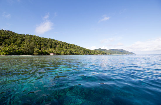 Transparent Water And Amazing Reef In Raja Ampat Archipelago