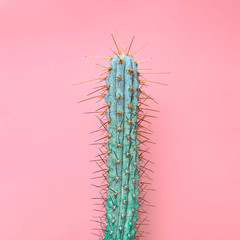 Cactus Fashion Set. Art gallery Design. Minimal Stillife. Vanilla Trendy Purple Green Color. Sweet Summer Style. Neon cactus Mood. Creative fashionable. Surrealism