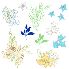 Set of vintage delicate flowers. Summer flowers, hand-drawn on a white background. Vector illustration.