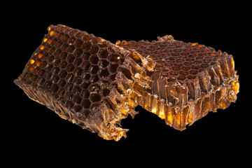 honeycomb isolated on white background