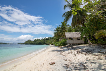 wild beach with straw bungalows  in raja ampat island