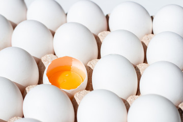 Fresh eggs isolated. White eggs in tray
