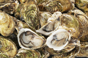 Raw oysters background