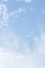 Vertical summer clear blue sky