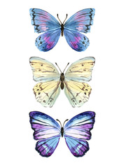 Butterflies painted by hand in watercolor. Gentle and bright. Moths and hawk moths. Watercolor set
