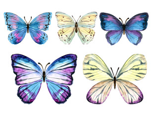 Fototapeta na wymiar Butterflies painted by hand in watercolor. Gentle and bright. Moths and hawk moths. Watercolor set