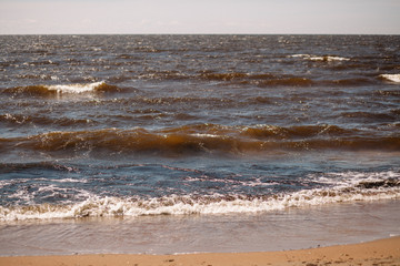 Foaming surf waves. Brown water of the gulf of Finland on a sunny day.