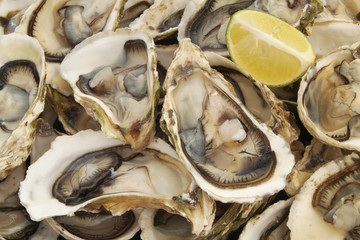Fresh opened oysters with lime
