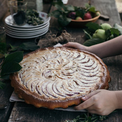 Beautiful apple pie in children's hands