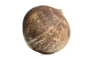 tropical exotic coconut