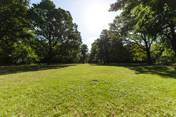 Obraz premium Tiergarten in Berlin