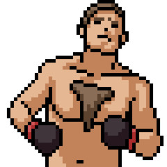 vector pixel art boxing