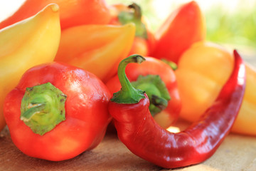 Ripe hot and sweet peppers.
