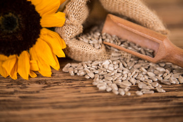 Sunflower flower and sunflower seeds in a sack. Sunflower oil products on a wooden table