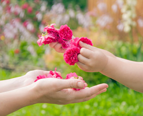 The child gives flowers roses to his mother hands (concept love)