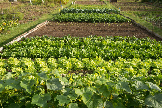 allotments located in L'Aigle, Orne, Normandy, France