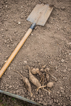 allotments located in L'Aigle, Orne, Normandy, France