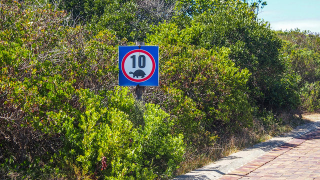 South Africa, Garden Route, Plettenberg, speed reduction road sign for the protection of turtles