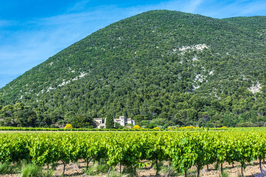 Venterol Images Browse 41 Stock Photos, Vectors, and Video Adobe Stock