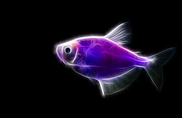 Fractal image of a small pink aquarium fish ternetii on a contrasting black background