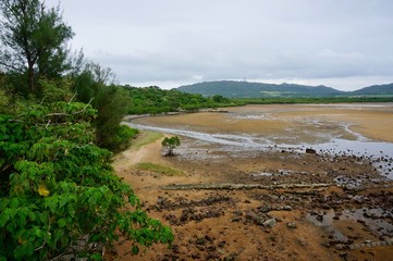 石垣島の河口