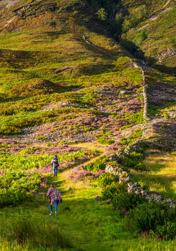 Europe, Great Britain, Scotland, Highlands and Lochaber Geopark, Glen Coe valley, place of Hagrid's hut replica (Harry Potter movie) and filming of the Skyfall movie (James Bond)