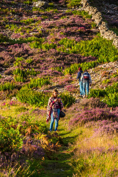 Europe, Great Britain, Scotland, Highlands and Lochaber Geopark, Glen Coe valley, place of Hagrid's hut replica (Harry Potter movie) and filming of the Skyfall movie (James Bond)