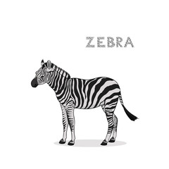 A cartoon zebra, isolated on a white background. Animal alphabet.