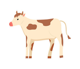  alf of domestic cow, tending of animals vector, isolated cub with horns, highland cattle with sports, fluffy animal farming pet, agriculture and breeding