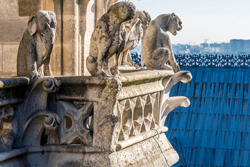 France, Paris, 4th arrondissement, Ile de la Cite, fanciful animals sculpted on a tower of the Cathedral Notre-Dame